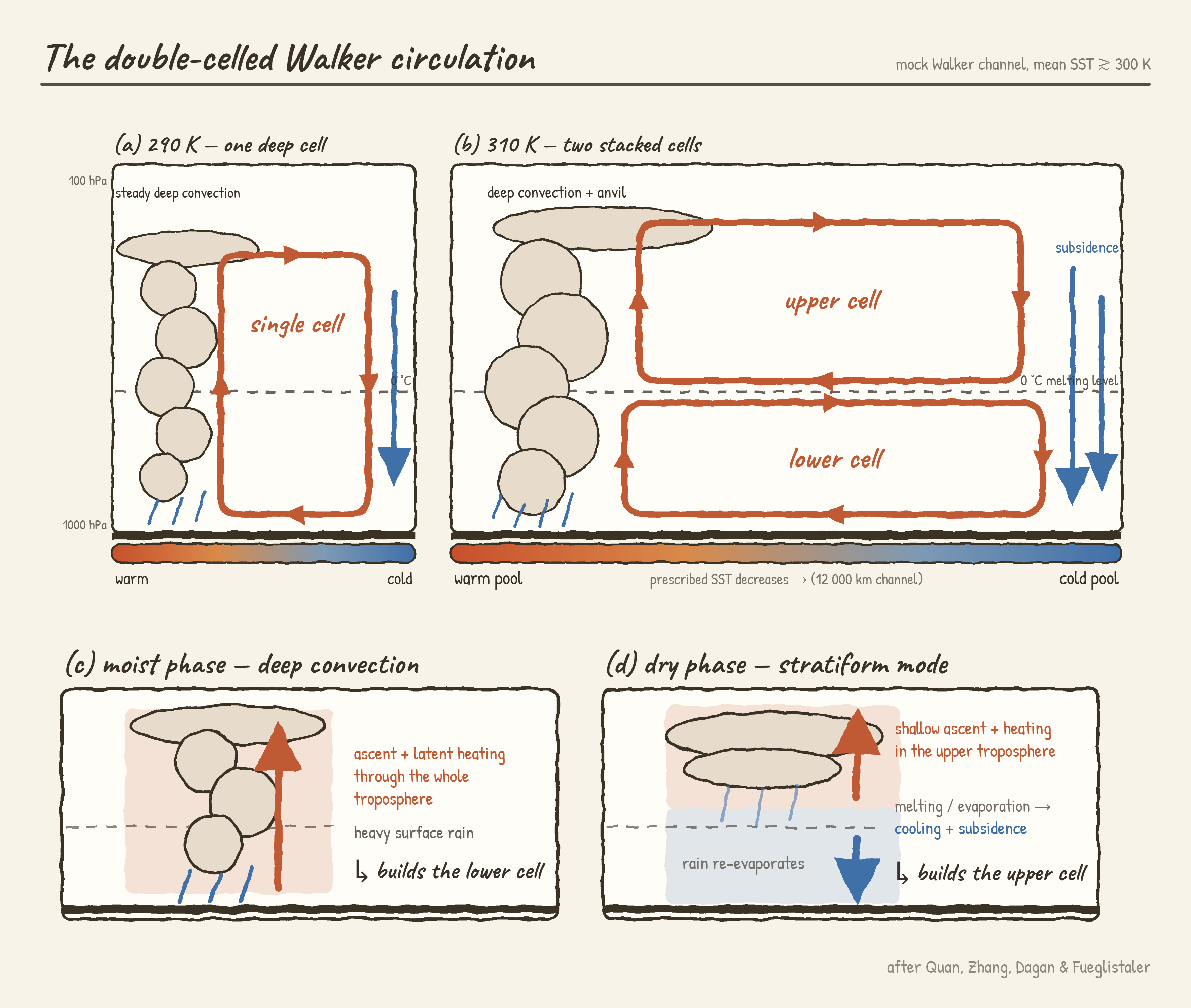 double_cell_schematic.png